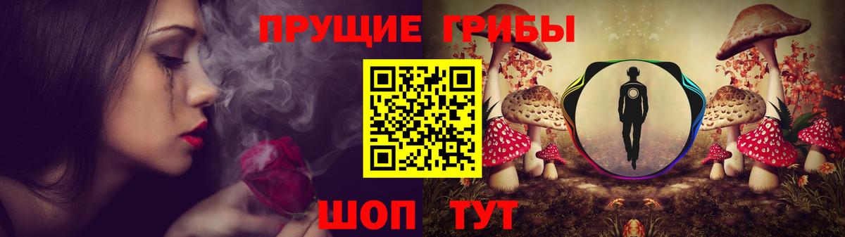 Барнаул  Галлюциногенные грибы MAGIC MUSHROOMS  Вход с VPN  Псилоцибиновые грибы прущие грибы 